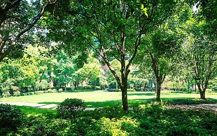 Pullman Shanghai Central-in XinTianDi & Yu Garden Area