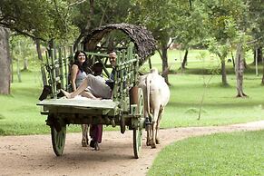 Amaya Lake Dambulla