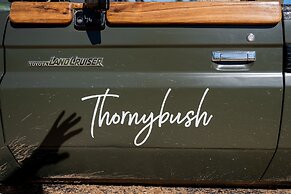 Thornybush Game Lodge