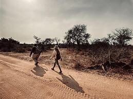 Thornybush Game Lodge