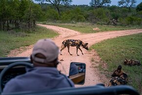 Thornybush Game Lodge