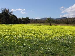 Villaggio Porto Corallo