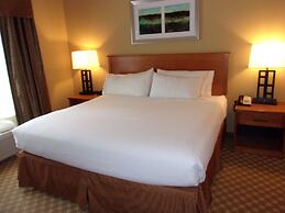 Holiday Inn Express & Suites Chicago West-Roselle, an IHG Hotel