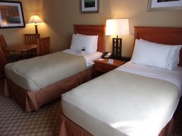 Holiday Inn Express & Suites Chicago West-Roselle, an IHG Hotel