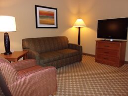 Holiday Inn Express & Suites Chicago West-Roselle by IHG
