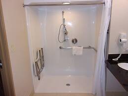 Holiday Inn Express & Suites Chicago West-Roselle by IHG