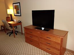 Holiday Inn Express & Suites Chicago West-Roselle by IHG