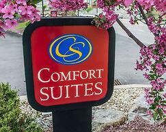Comfort Suites Monroeville