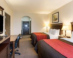 Comfort Inn And Suites Winnie