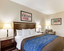 Comfort Inn And Suites Winnie