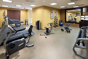 Hilton Garden Inn Frisco