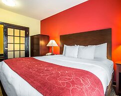 Comfort Suites Rock Hill Manchester Meadows Area