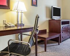 Comfort Suites Rock Hill Manchester Meadows Area