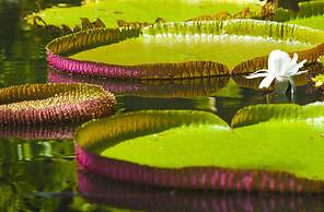 Trou aux Biches Beachcomber Golf Resort & Spa