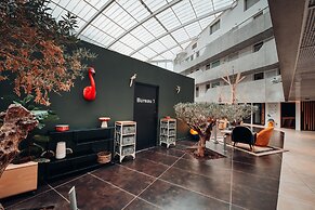 Cowool Cergy
