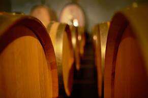 ADLER Spa Resort Thermae