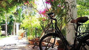 Uma Casa à Beira Sol