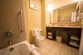 Comfort Suites Airport South