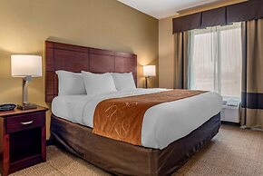 Comfort Suites Airport South