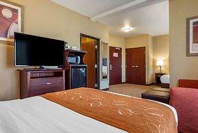 Comfort Suites Airport South