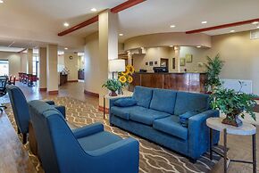 Comfort Suites Airport South