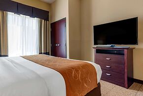 Comfort Suites Airport South