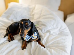 ibis Gurgaon Golf Course Road Hotel