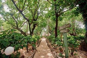 Beachcomber Island Resort