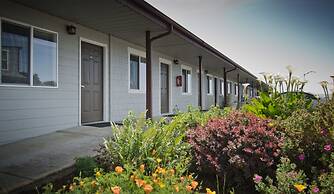 Pacific Reef Hotel & Light Show