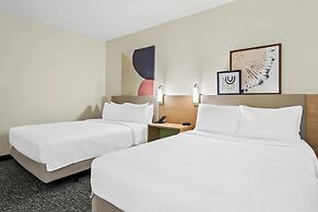 Spark by Hilton Kingsland