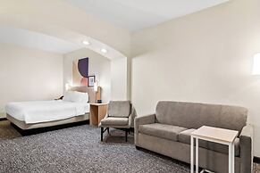 Spark by Hilton Kingsland
