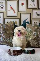 Penventon Park Hotel