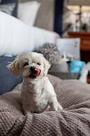 Penventon Park Hotel