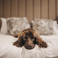 Penventon Park Hotel