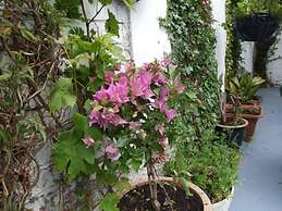 The Braedene Lodge B&B