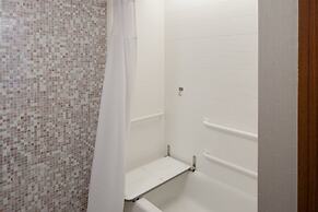 SpringHill Suites by Marriott Detroit Metro Airport Romulus