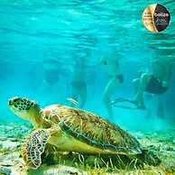 Portofino Beach Resort