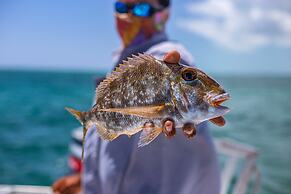 Portofino Beach Resort