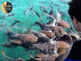 Portofino Beach Resort