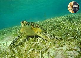 Portofino Beach Resort