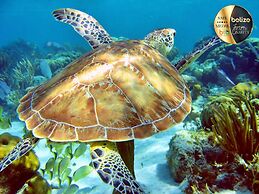 Portofino Beach Resort