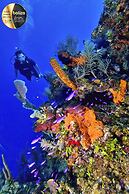 Portofino Beach Resort