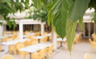 Hotel Houm Nets - Adults Only