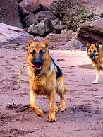 The Downs Babbacombe