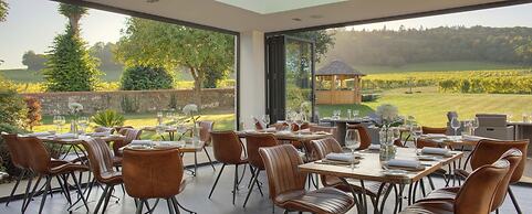Denbies Vineyard Hotel