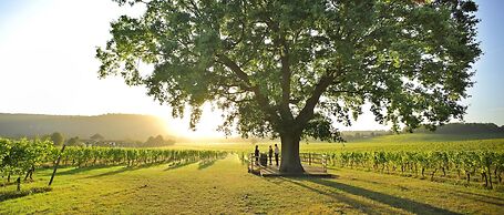 Denbies Vineyard Hotel