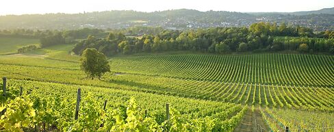 Denbies Vineyard Hotel