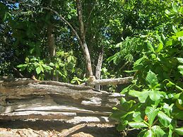 Monte Carlo Luxury Condominiums