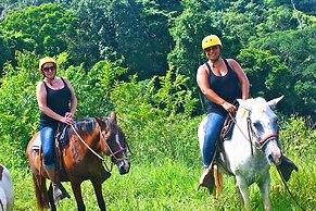 Monte Carlo Luxury Condominiums