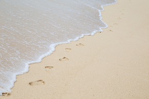 Récif Attitude - Adults Only